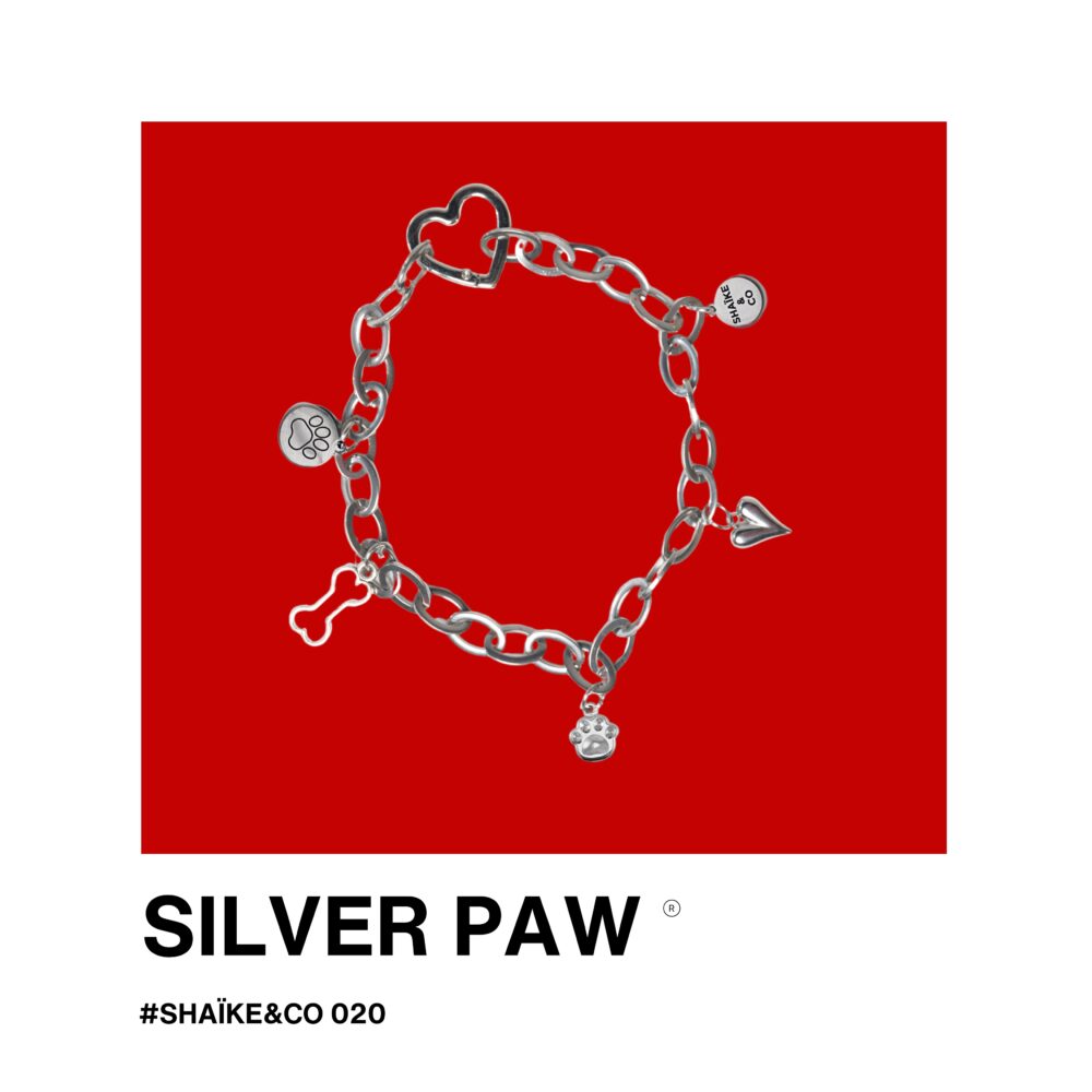 SILVER PAW - Edition Noël !