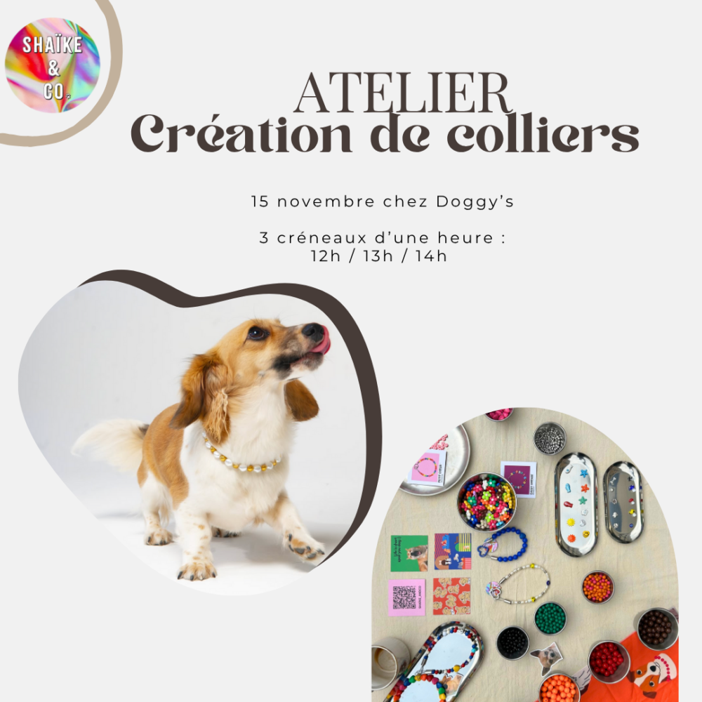 ATELIER DE PERSONNALISATION AT DOGGY'S