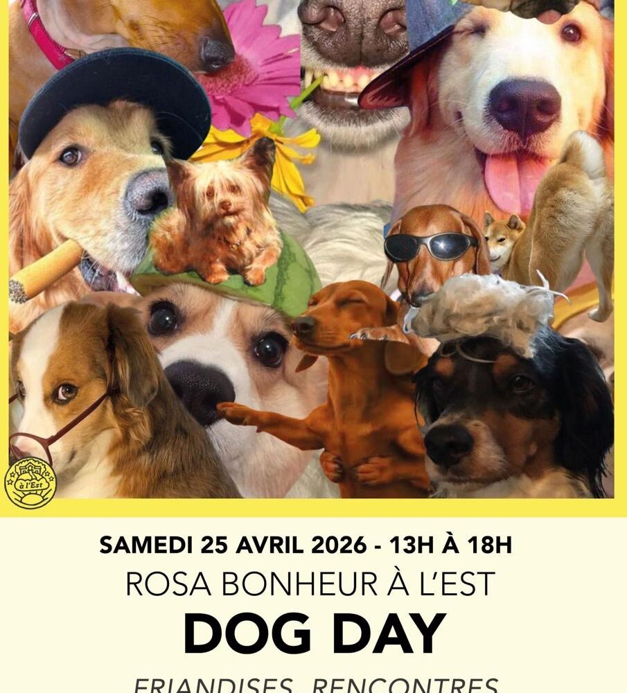 🌟 DOG DAY 🌟 Samedi 25 avril - Atelier de personnalisation